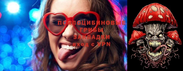 apvp Вязьма